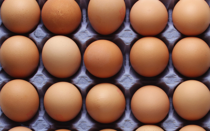 Rows of brown chicken eggs