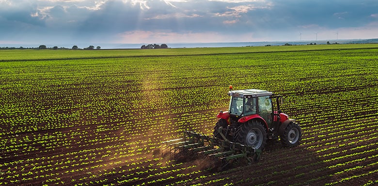 Tractor plowing rows on farm